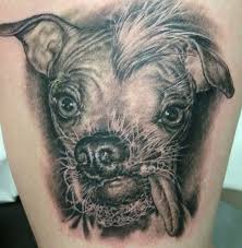 Animal Species Tattoo