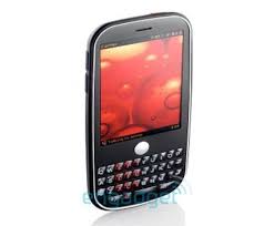 Palm Pixie Set To Run Palms