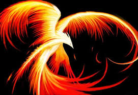 Phoenix Reborn from the ashes