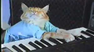 keyboard cat