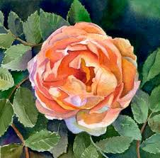 how to paint roses
