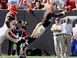 braylon edwards