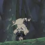 http://t3.gstatic.com/images?q=tbn:-WYb4J-0h-D70M:http://www.narutobg.info/e107_images/custom/HayabusaB.jpg