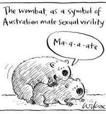 wombats