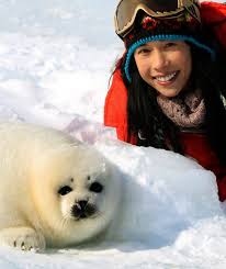 Karen Mok vs. Canadian Sealers