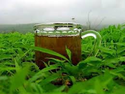 الشاي الأخضر مضاد للاكتئاب Tea-saida1