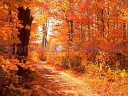 Colors of Autumn Free