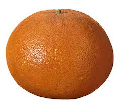 grapefruit
