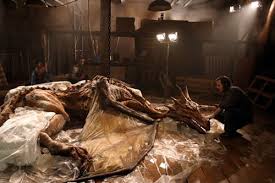 real dragon photo