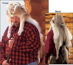 Coyote2.jpg