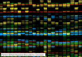 external image Image2154.gif