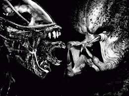 http://t3.gstatic.com/images?q=tbn:0xPbZwXoLW8h8M:http://i67.photobucket.com/albums/h305/x2turkeyx2/Alien-Vs-Predator.jpg