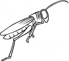 grasshopper coloring pictures