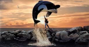 free willy