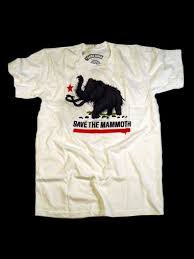funny tee shirts for men