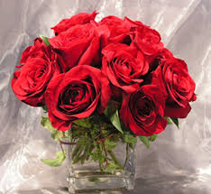 roses photos