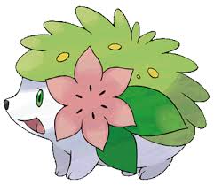 http://t3.gstatic.com/images?q=tbn:1h6HUiPsVv0lXM:http://www.serebii.net/archive/shaymin.png