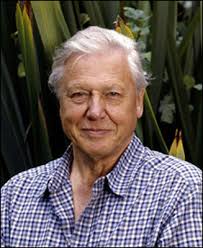 david attenborough