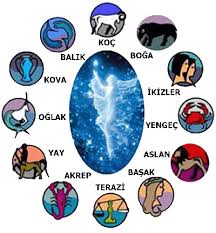 http://t3.gstatic.com/images?q=tbn:2P03dK-ON4h2jM
