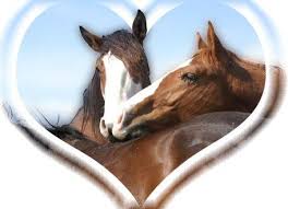 http://t3.gstatic.com/images?q=tbn:2PKfo115uQSiLM:http://www.webidev.com/SitesFiles/les-chevaux-de-bronzes/coeur.jpg