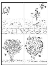 apple tree coloring sheet