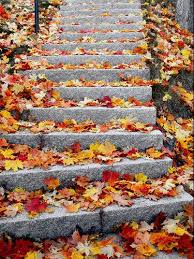 20061013-jesen.jpg