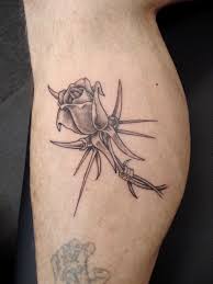 barb wire roses
