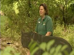 WJW Fox 8 Cleveland does a