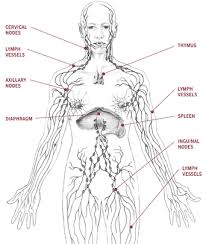 Lymphoma