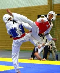 بعض الصور لرياضة التايكوندو WTF_Taekwondo_1