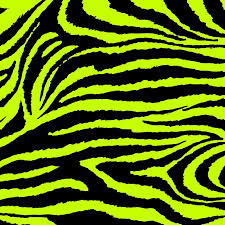 cool colorful pictures