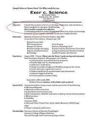 sample resume objectives