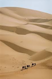 Sahara