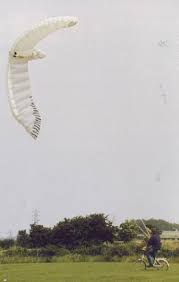 giant birds