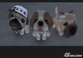 the dog