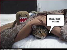 funny quotes from family guy