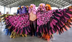 most colorful bird