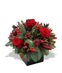 christmas flowers