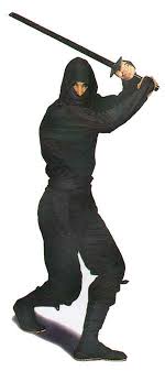 ninja pictures