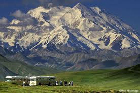 denali national park