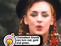 karma chameleon