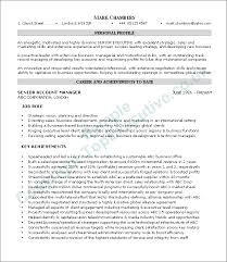 cv example