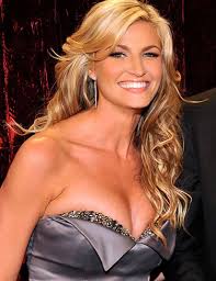 Erin Andrews hot