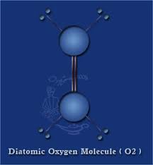 Beyond O2: Activated Oxygen