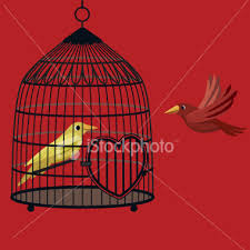love bird cages