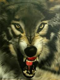 http://t3.gstatic.com/images?q=tbn:51KD6lMnIE0W0M:http://ecole.lambda.free.fr/IMG/jpg/LoupPeur.jpg