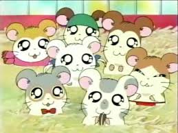 http://t3.gstatic.com/images?q=tbn:53F_Vr_5EBk2xM:http://membres.lycos.fr/hamtarohamhams/Hamtaro%2520Ham-Hams%2520/image33.jpg