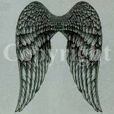 dark angel wings