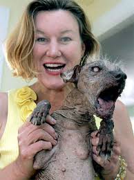 worlds ugliest dog