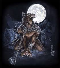 http://t3.gstatic.com/images?q=tbn:5Dzv_C3cNsgR1M:http://user2.poszkole.pl/site_images/200901/459_1232001173.jpg&t=1